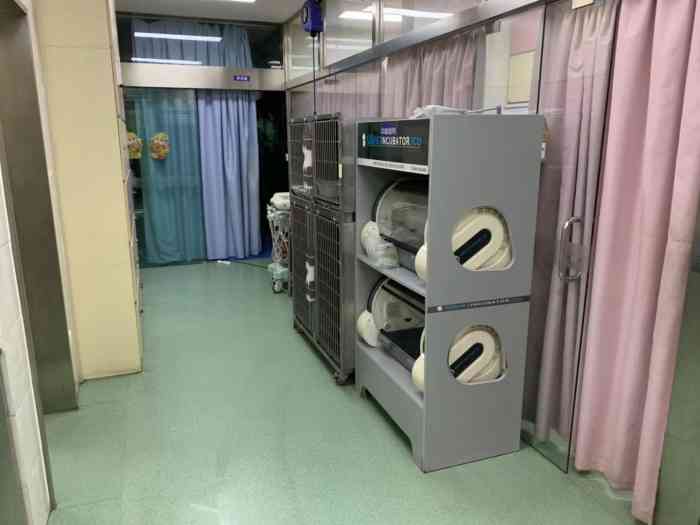 圣心动物医院24小时-"总体很满意 .看图 旺财两岁三个月 去年.