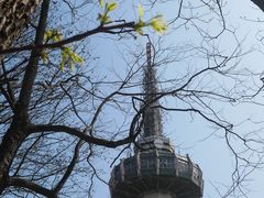 -岳麓山风景名胜区