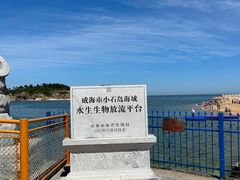 -小石岛景区