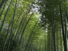 -千泷沟大瀑布旅游区