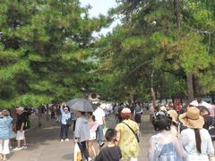 -晋祠公园