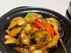 -新兴·金羊座·粤菜点心(乐峰店)