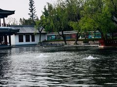 -百脉泉景区