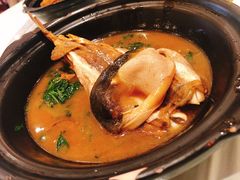 河豚鱼汤-鸿运酒楼