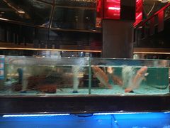 -阿伟海鲜楼·福建菜(延寿店)