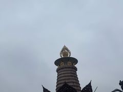 -九味一品铁锅炖·地锅鸡(和信广场店)