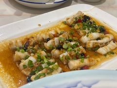 -港升鱼师傅·中山脆肉鲩