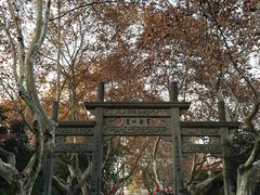-杭州黄龙洞