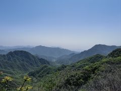 -大岭沟猕猴桃谷风景区