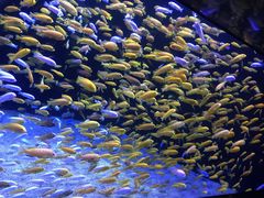 -成都浩海立方海洋公园