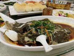 -海晖酒楼·顺德鱼生(荣华店)