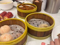 -东方早茶 海鲜•青岛菜(国信体育中心店)