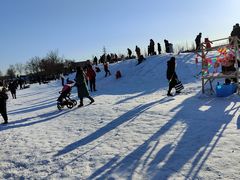 -绿野森林乐园冰雪季