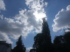 -维乐口腔医院(星海湾分院)