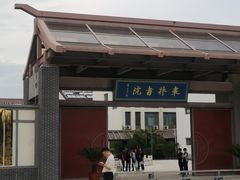 -千年枣林游览区
