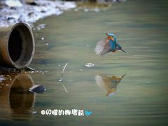 -南国桃园旅游度假区