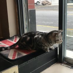 -幸运7纹身刺青Lucky7tattoo