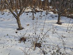 -石岛赤山风景区