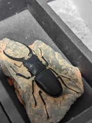 -酷嗒动物文化乐园(cutezoo西溪乐天城店)