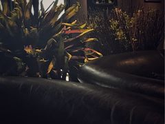 -半秋山西餐厅(巴南万达广场店)