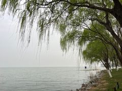 -阳澄湖费尔蒙酒店