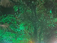 -杭州第一世界大酒店·云曼温泉