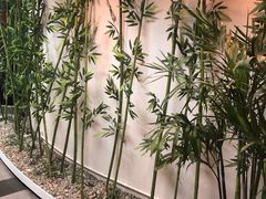 -樱花国际日语(徐家汇中心)