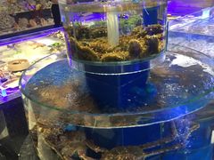 -新海渔港·胶东海鲜家常菜·家宴(奥体中心店)