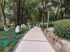 -两江幸福广场