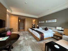 -河源万绿湖美思威尔顿酒店