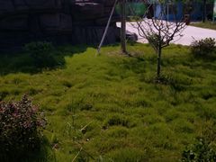 -如皋市龙游湖欢乐世界