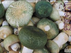 清炒鲜牛干菌-云之南(八里庄店)
