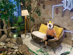 -生如夏花泰式火锅(鹭洲里店)
