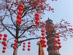 -广州莲花山旅游区