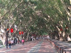 -乐山市博物馆