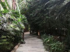 -龙达温泉生态城