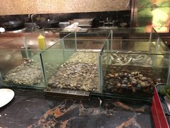 -重庆悦来温德姆酒店