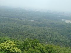 -紫金山天文台