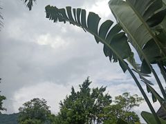 -广州从化都喜泰丽度假温泉酒店