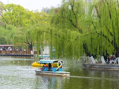 -翠湖公园