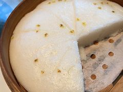 -丽华园(青少年宫店)