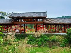-广西壮族自治区药用植物园