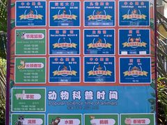 -灵玲国际马戏城