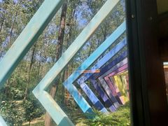 -合肥滨湖国家森林公园