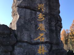 -汤旺河林海奇石景区