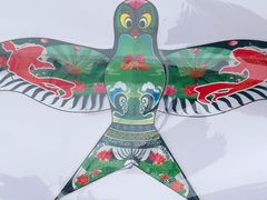 -南湖梦幻岛