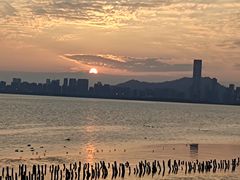 -深圳湾公园(南山区)