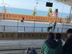 -东方熊牧场