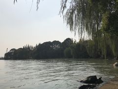 -金鸡湖桃花岛