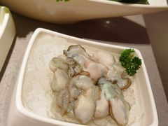 蛎蝗-海底捞火锅(吾悦广场店)